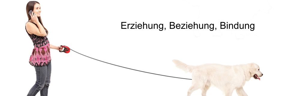 Erziehung - Beziehung - Bindung