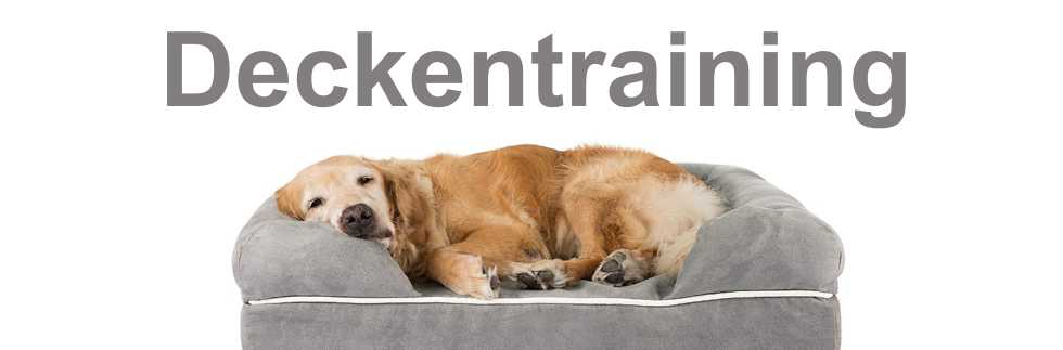 Welpenschule, Hund, Training, Holzkirchen